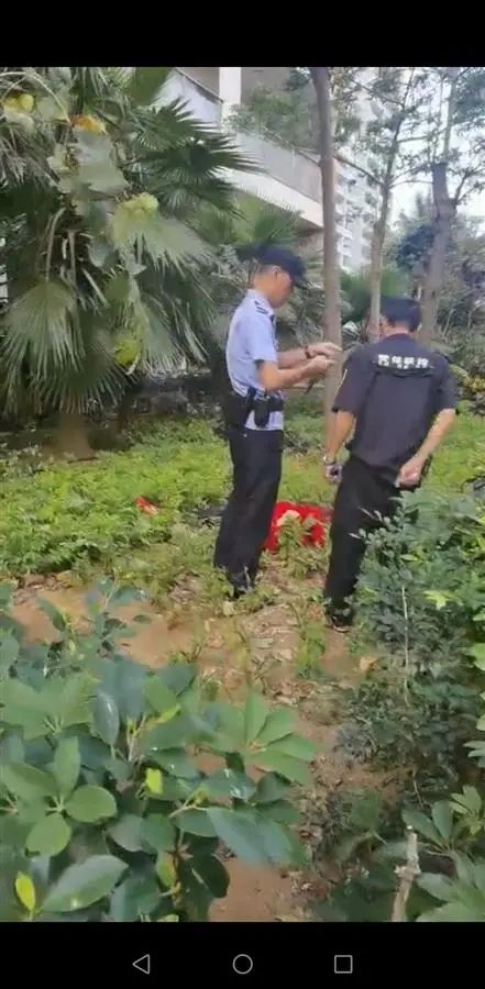 女子在高楼阳台外跳舞时坠楼!警方通报了……休闲区蓝鸢梦想 - Www.slyday.coM 女子在高楼阳台外跳舞时坠楼!警方通报了……休闲区蓝鸢梦想 - Www.slyday.coM