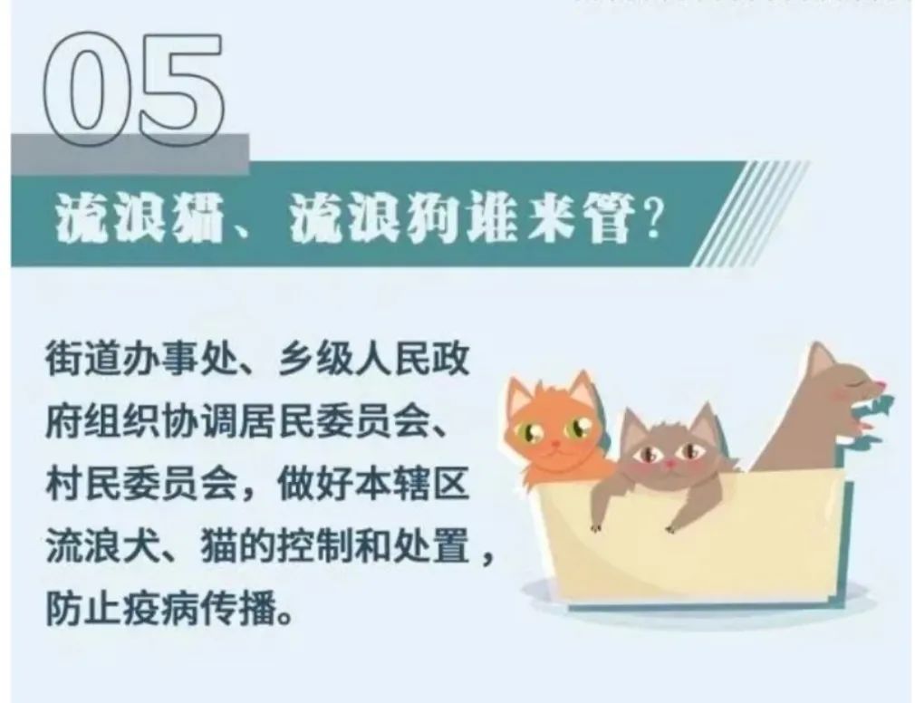 流浪狗肆无忌惮成群出没,上海一小区居民生活出行大受影响,投诉一年至今无果休闲区蓝鸢梦想 - Www.slyday.coM 流浪狗肆无忌惮成群出没,上海一小区居民生活出行大受影响,投诉一年至今无果休闲区蓝鸢梦想 - Www.slyday.coM