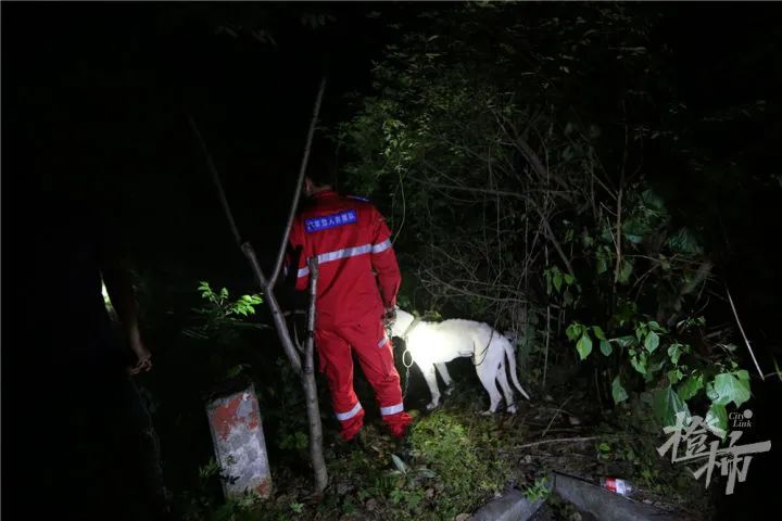 凌晨,最后一只豹子被发现,但是...休闲区蓝鸢梦想 - Www.slyday.coM 凌晨,最后一只豹子被发现,但是...休闲区蓝鸢梦想 - Www.slyday.coM