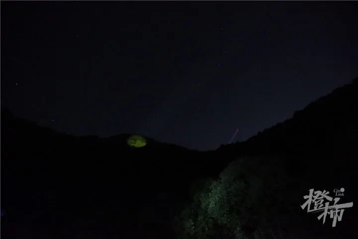 凌晨,最后一只豹子被发现,但是...休闲区蓝鸢梦想 - Www.slyday.coM 凌晨,最后一只豹子被发现,但是...休闲区蓝鸢梦想 - Www.slyday.coM