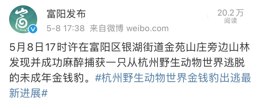 最后一只被发现!野生动物世界为何瞒“豹”?休闲区蓝鸢梦想 - Www.slyday.coM 最后一只被发现!野生动物世界为何瞒“豹”?休闲区蓝鸢梦想 - Www.slyday.coM