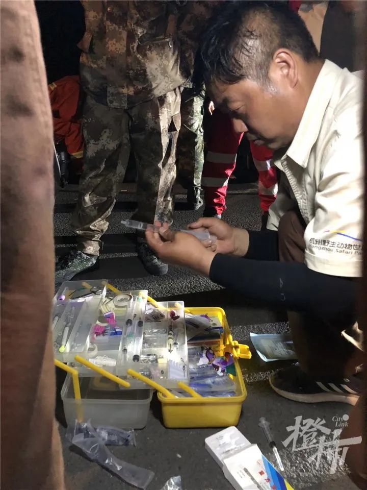 最后一只被发现!野生动物世界为何瞒“豹”?休闲区蓝鸢梦想 - Www.slyday.coM 最后一只被发现!野生动物世界为何瞒“豹”?休闲区蓝鸢梦想 - Www.slyday.coM