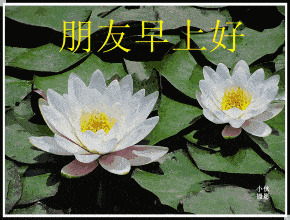 土到极致便是潮 ——中老年表情包的前世今生