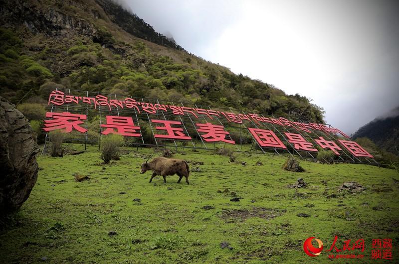 西藏自治区山南市隆子县玉麦乡—这个曾经的"三人乡"如今已有67户