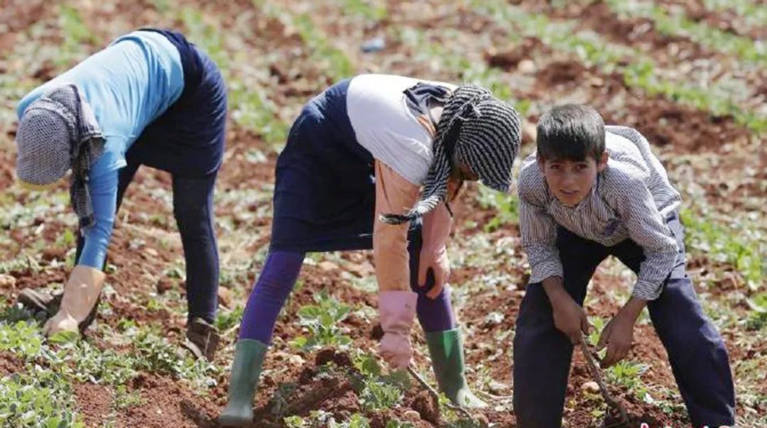 【新闻早餐】※延吉市发布接种第二剂次新冠病毒疫苗的通知※微信最新公告!这样做将被永久封号!休闲区蓝鸢梦想 - Www.slyday.coM 【新闻早餐】※延吉市发布接种第二剂次新冠病毒疫苗的通知※微信最新公告!这样做将被永久封号!休闲区蓝鸢梦想 - Www.slyday.coM