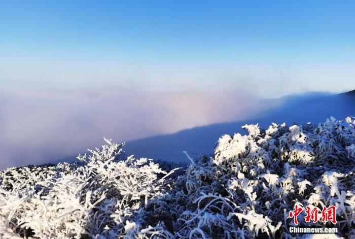 资料图:梵净山形成云雾翻滚的云海景观。 李鹤 摄