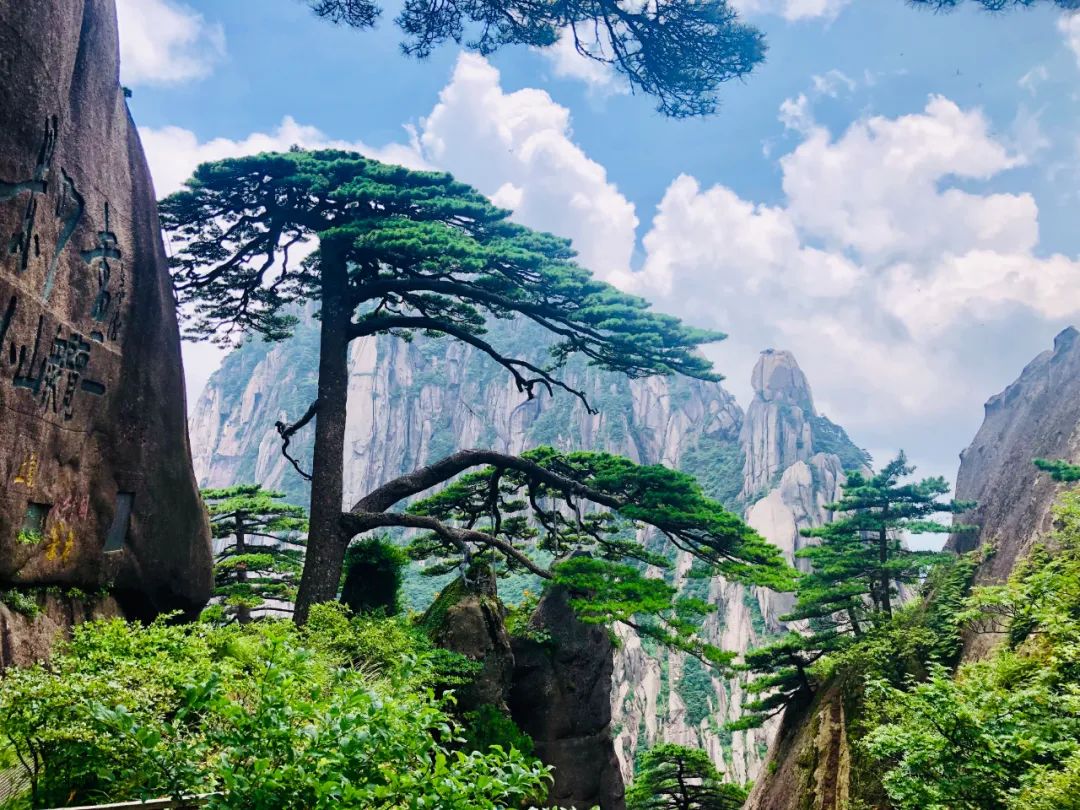 2019年6月初,黄山风景区对一名擅自进入景区未开发开放区域被困的游客