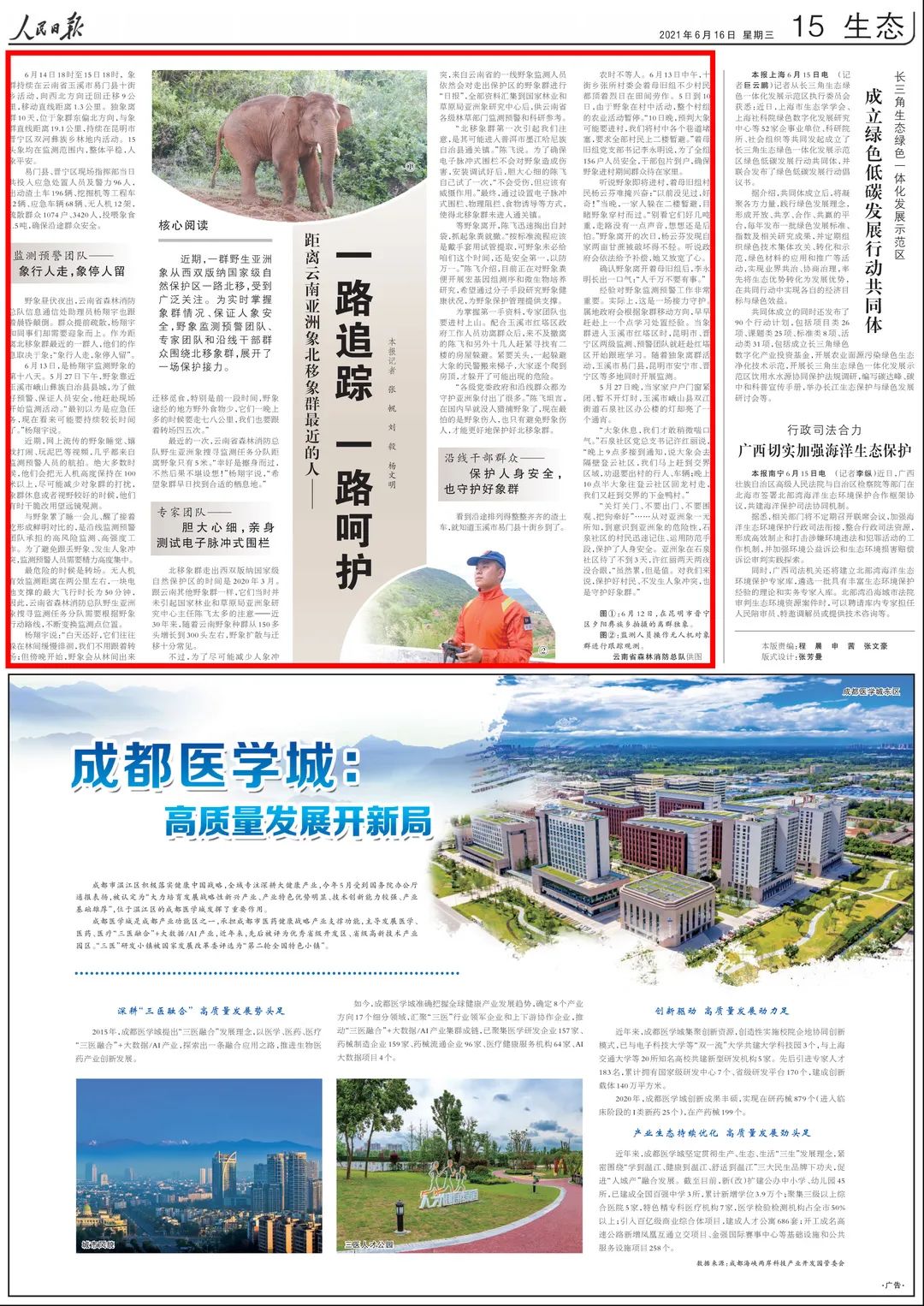 云南北迁小象花式撒娇叫大象起床 不停扭屁股被无人机拍下!