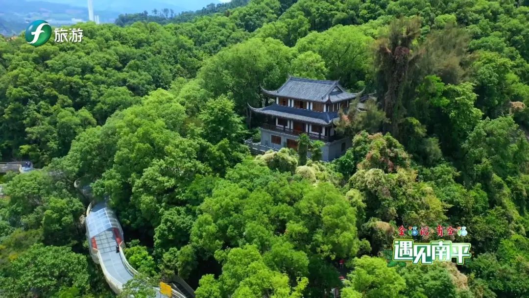 全福游遇见南平丨延平这处草木青葱的九峰山带你一秒从城市回归山林
