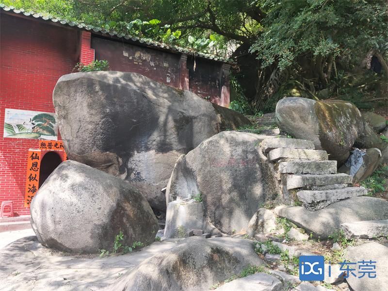 重走红色印迹|百花洞战斗遗址:战场旧址回望血与火,荔林深处战旗猎猎