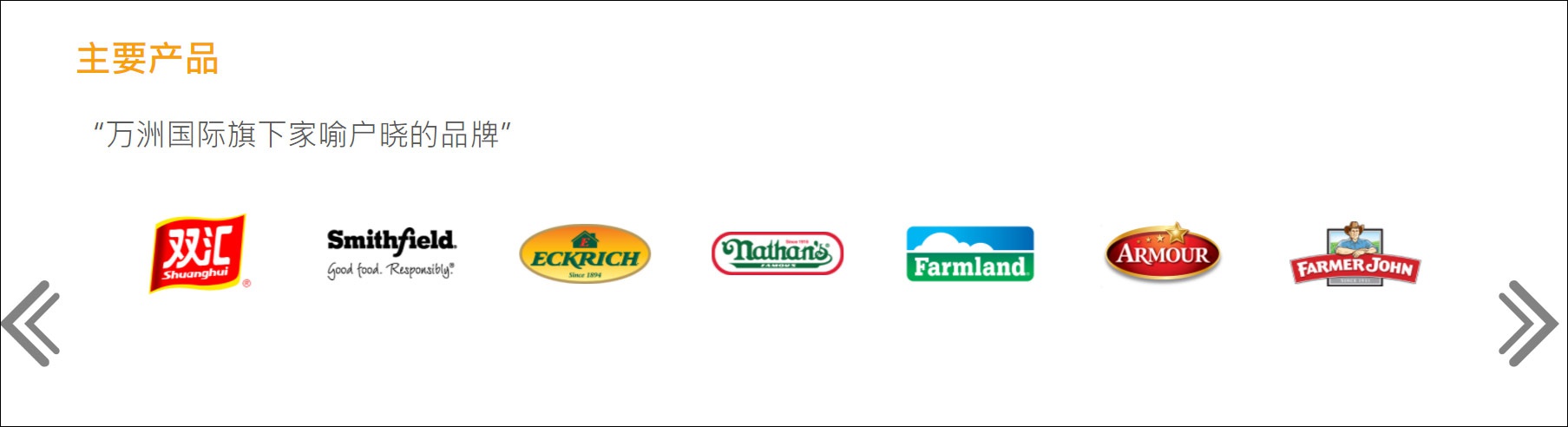 万洲国际官网截图