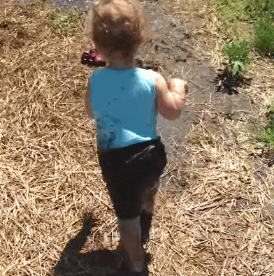 正文   原标题:搞笑gif趣图:学跑步这事,咱还得慢慢来!