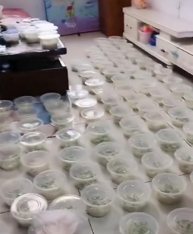 3岁女孩用爸爸手机点了100碗炸酱面!快递员在13层楼……休闲区蓝鸢梦想 - Www.slyday.coM 3岁女孩用爸爸手机点了100碗炸酱面!快递员在13层楼……休闲区蓝鸢梦想 - Www.slyday.coM