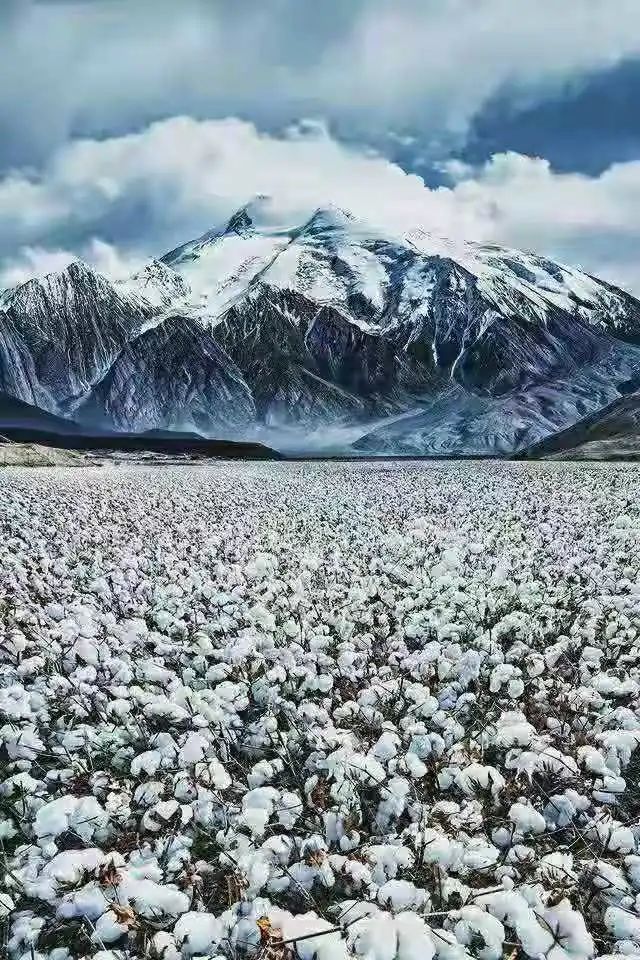 新疆最惊艳的山峰都在这里,是时候带你们去看看了!休闲区蓝鸢梦想 - Www.slyday.coM 新疆最惊艳的山峰都在这里,是时候带你们去看看了!休闲区蓝鸢梦想 - Www.slyday.coM