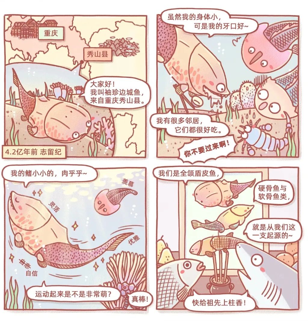 边城鱼漫画介绍。