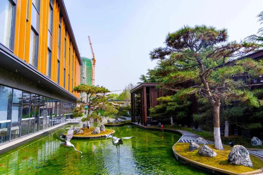 豪横!日照这一楼盘,认购就送8万元家装好礼!休闲区蓝鸢梦想 - Www.slyday.coM 豪横!日照这一楼盘,认购就送8万元家装好礼!休闲区蓝鸢梦想 - Www.slyday.coM