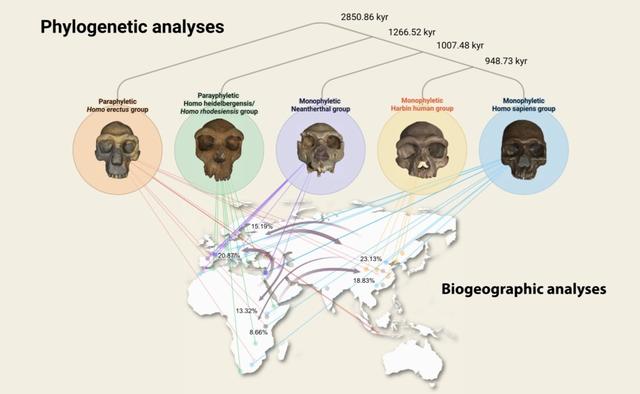 东北发现14.6万年前新人种!