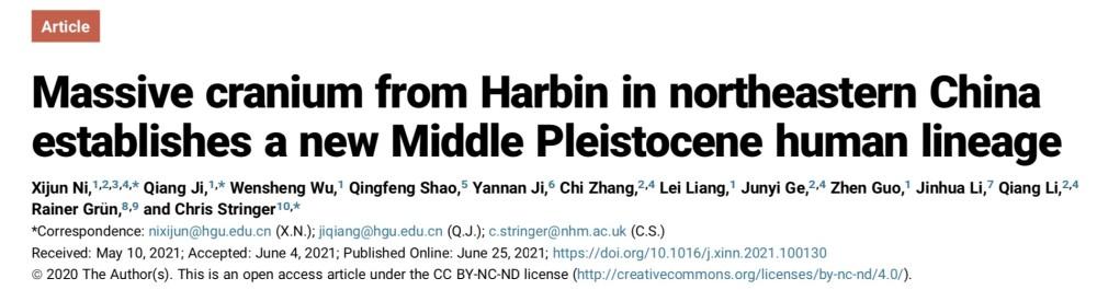 东北发现14.6万年前新人种!