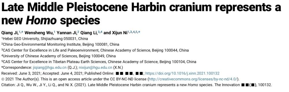 东北发现14.6万年前新人种!