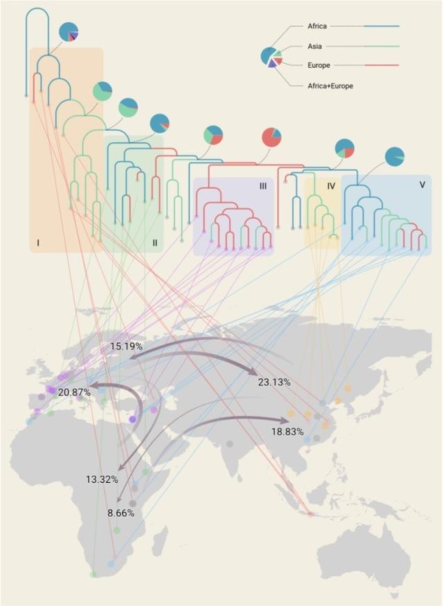 东北发现14.6万年前新人种!