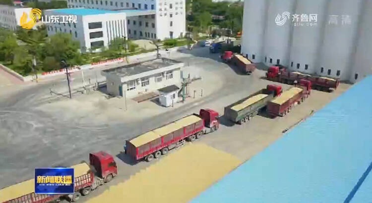 【山东新闻联播】德州齐河:夏粮收购质优价高 好行情让农民得实惠休闲区蓝鸢梦想 - Www.slyday.coM 【山东新闻联播】德州齐河:夏粮收购质优价高 好行情让农民得实惠休闲区蓝鸢梦想 - Www.slyday.coM