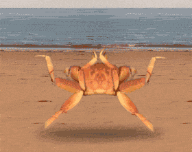 比小龙虾还鲜!嘉兴人爱吃的大闸蟹大量上市,便宜的1块钱1只~休闲区蓝鸢梦想 - Www.slyday.coM 比小龙虾还鲜!嘉兴人爱吃的大闸蟹大量上市,便宜的1块钱1只~休闲区蓝鸢梦想 - Www.slyday.coM