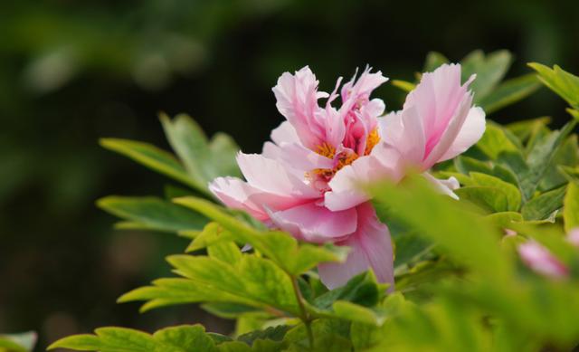 一个人真正的高贵,不是容貌和打扮,而是以下四个特质休闲区蓝鸢梦想 - Www.slyday.coM 一个人真正的高贵,不是容貌和打扮,而是以下四个特质休闲区蓝鸢梦想 - Www.slyday.coM