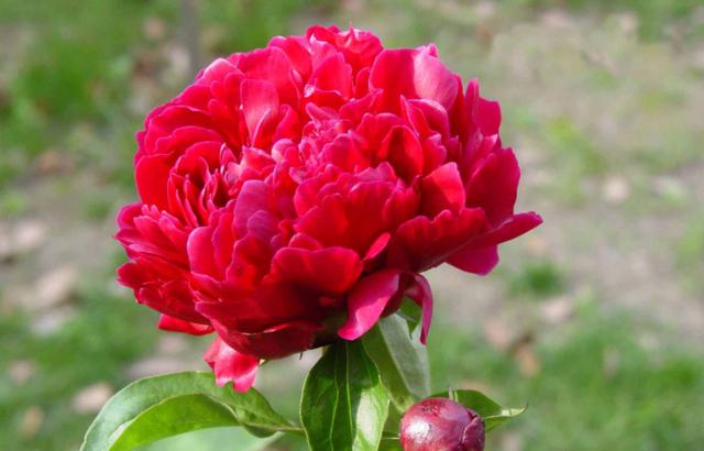 一个人真正的高贵,不是容貌和打扮,而是以下四个特质休闲区蓝鸢梦想 - Www.slyday.coM 一个人真正的高贵,不是容貌和打扮,而是以下四个特质休闲区蓝鸢梦想 - Www.slyday.coM