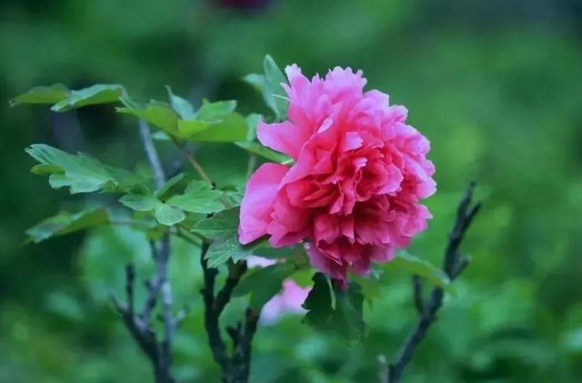 一个人真正的高贵,不是容貌和打扮,而是以下四个特质休闲区蓝鸢梦想 - Www.slyday.coM 一个人真正的高贵,不是容貌和打扮,而是以下四个特质休闲区蓝鸢梦想 - Www.slyday.coM