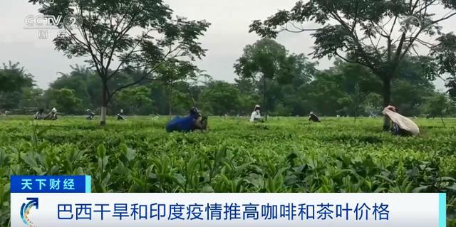 全球食品价格急速攀升、达近10年最高水平!但一个积极信号传来