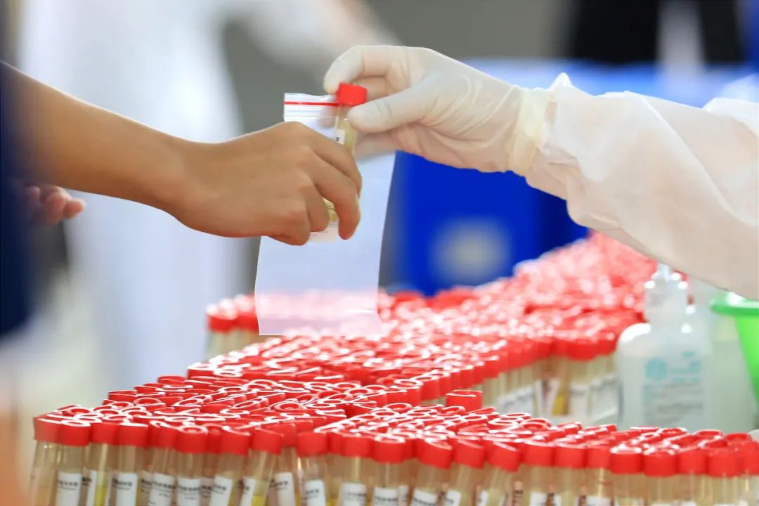 送检上门!东莞4万多名涉考人员全部完成核酸检测休闲区蓝鸢梦想 - Www.slyday.coM 送检上门!东莞4万多名涉考人员全部完成核酸检测休闲区蓝鸢梦想 - Www.slyday.coM