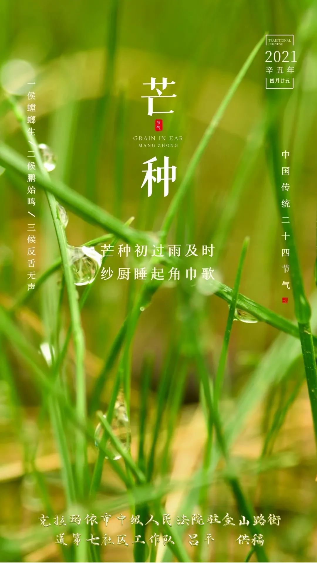 芒种 时光,因耕耘而丰盈
