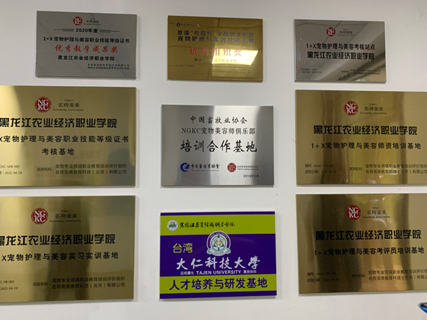 两岸记者走边疆休闲区蓝鸢梦想 - Www.slyday.coM 两岸记者走边疆休闲区蓝鸢梦想 - Www.slyday.coM