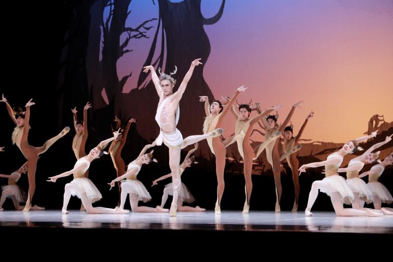 中芭舞校献上 童话礼物 原创童话芭蕾舞剧 九色鹿 天桥上演 九色鹿 天桥 童话 新浪新闻