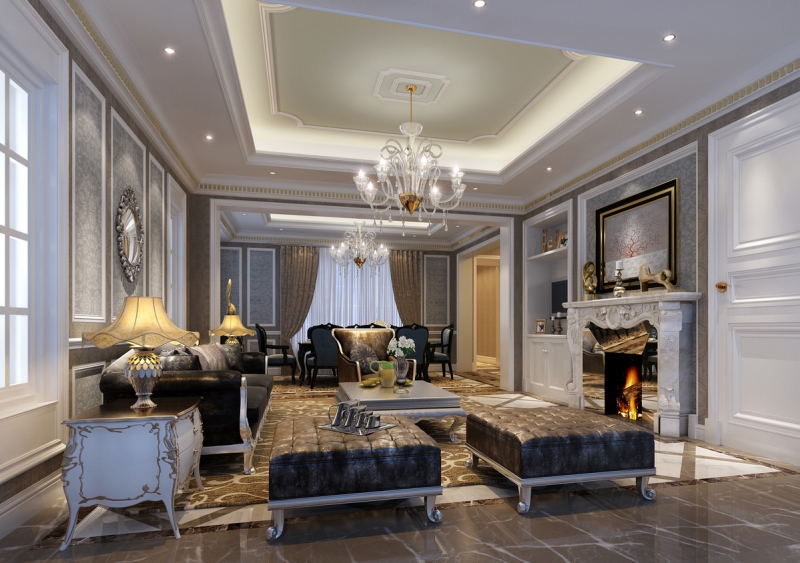 金钱龟价格 金钱龟的特征？