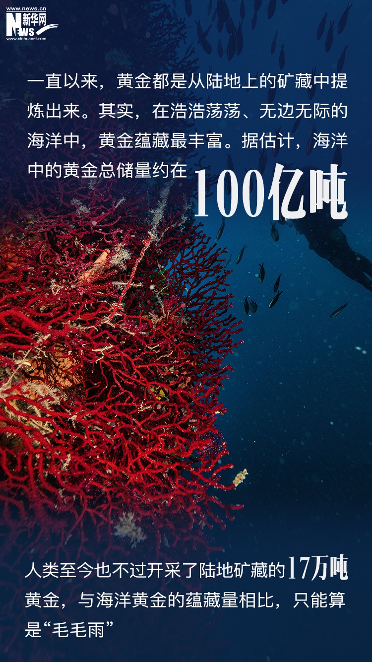 世界海洋日丨神秘的71%