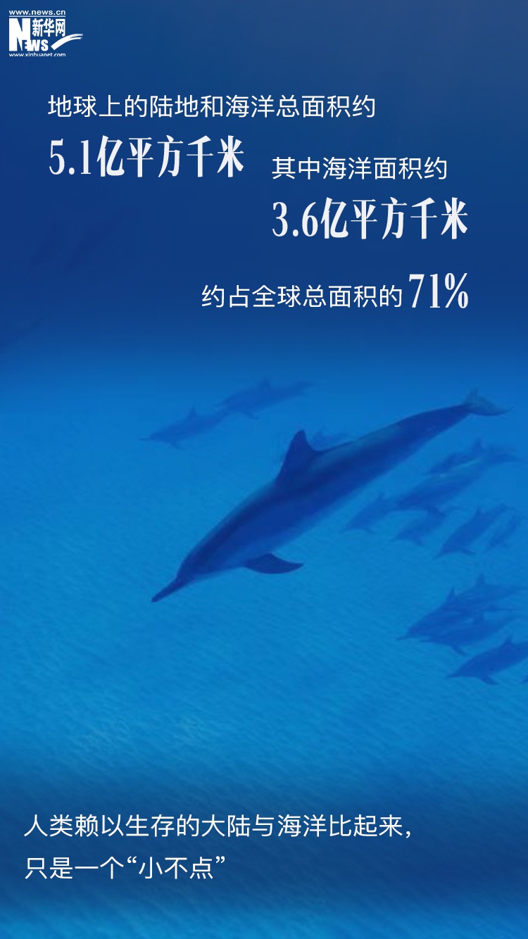 世界海洋日丨神秘的71%