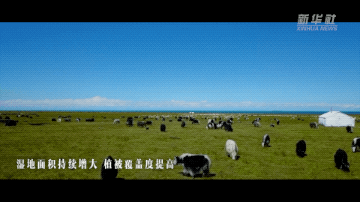 随着总书记的调查脚印丨这就是青海湖-亚博APP(图7) 随着总书记的调查脚印丨这就是青海湖-亚博APP(图7)