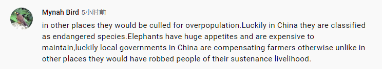 意外!“一路象北” 火出中国了!