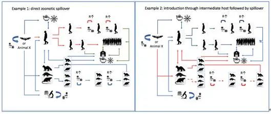 新冠病毒全球溯源中国部分公布,华南海鲜市场不是疫情发源地休闲区蓝鸢梦想 - Www.slyday.coM 新冠病毒全球溯源中国部分公布,华南海鲜市场不是疫情发源地休闲区蓝鸢梦想 - Www.slyday.coM