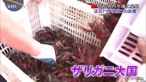 中国的小龙虾不是来于日本吗?日本却把小龙虾定为外来入侵物种并禁止贩卖?休闲区蓝鸢梦想 - Www.slyday.coM 中国的小龙虾不是来于日本吗?日本却把小龙虾定为外来入侵物种并禁止贩卖?休闲区蓝鸢梦想 - Www.slyday.coM