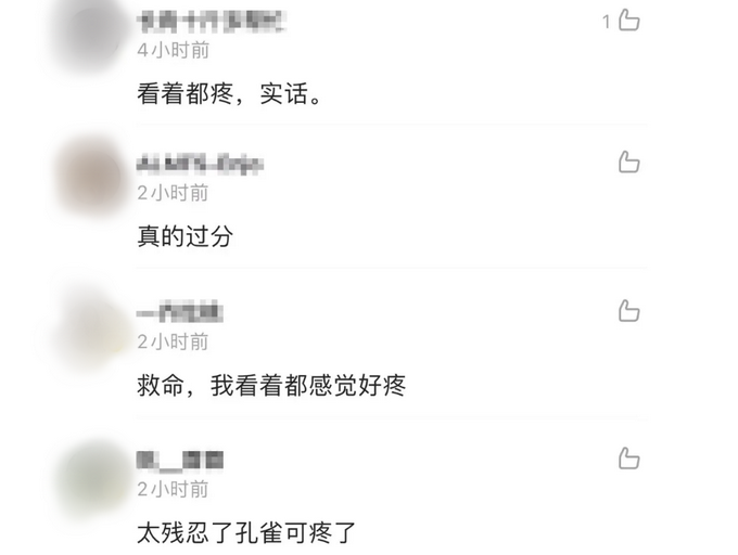 女子景区内拔掉孔雀羽毛只为哄娃,网友怒了!休闲区蓝鸢梦想 - Www.slyday.coM 女子景区内拔掉孔雀羽毛只为哄娃,网友怒了!休闲区蓝鸢梦想 - Www.slyday.coM