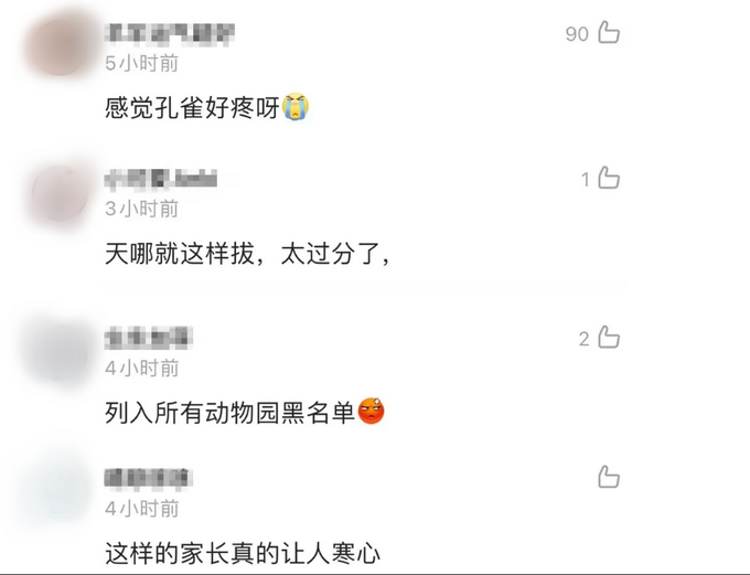 女子景区内拔掉孔雀羽毛只为哄娃,网友怒了!休闲区蓝鸢梦想 - Www.slyday.coM 女子景区内拔掉孔雀羽毛只为哄娃,网友怒了!休闲区蓝鸢梦想 - Www.slyday.coM