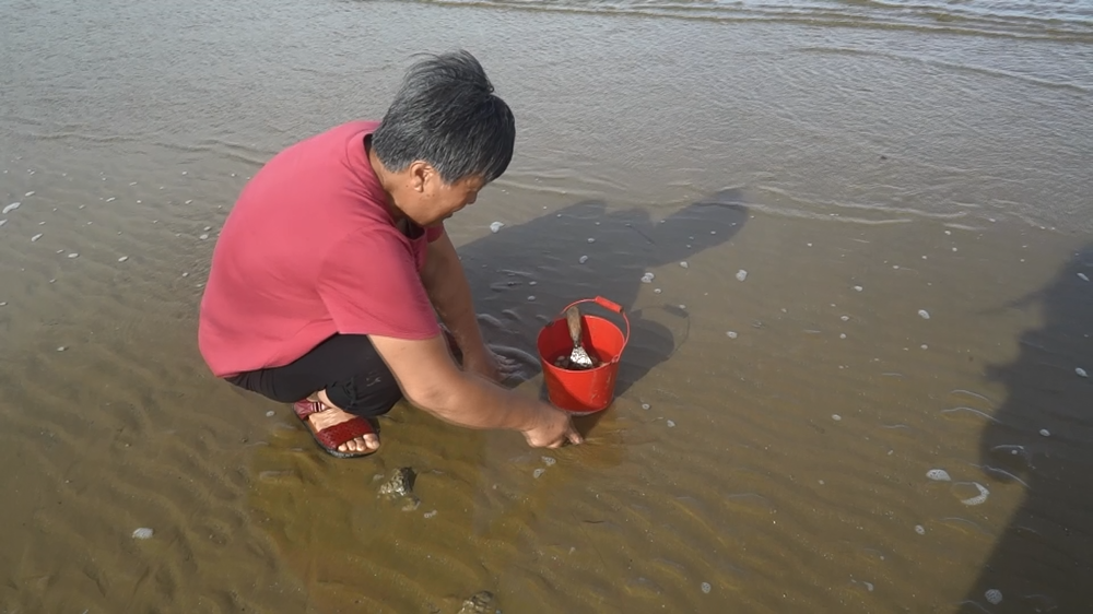 海边赶海 新浪网