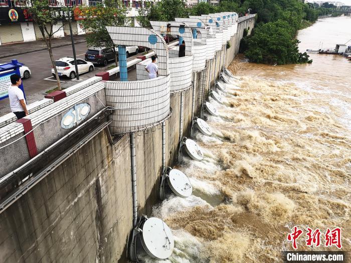  竹鹅溪泵站抽排通过九个排洪口进入柳江。　朱柳融 摄
