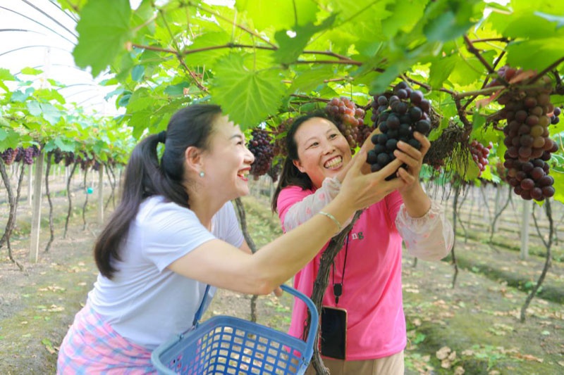 ѴչũЦúϲ£죨  㣩