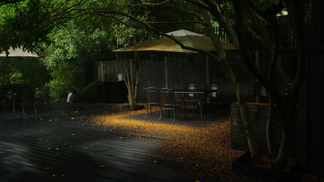 贵餐厅内卷元年?在杭州,那些人均超过500的轻奢餐厅究竟值不值得去休闲区蓝鸢梦想 - Www.slyday.coM 贵餐厅内卷元年?在杭州,那些人均超过500的轻奢餐厅究竟值不值得去休闲区蓝鸢梦想 - Www.slyday.coM