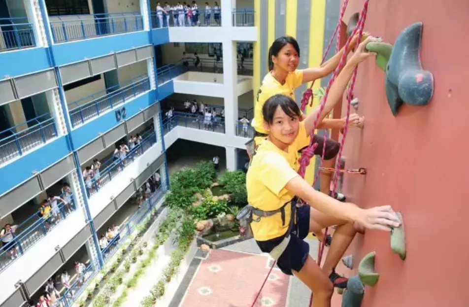 中国学长吐血整理，<a href=