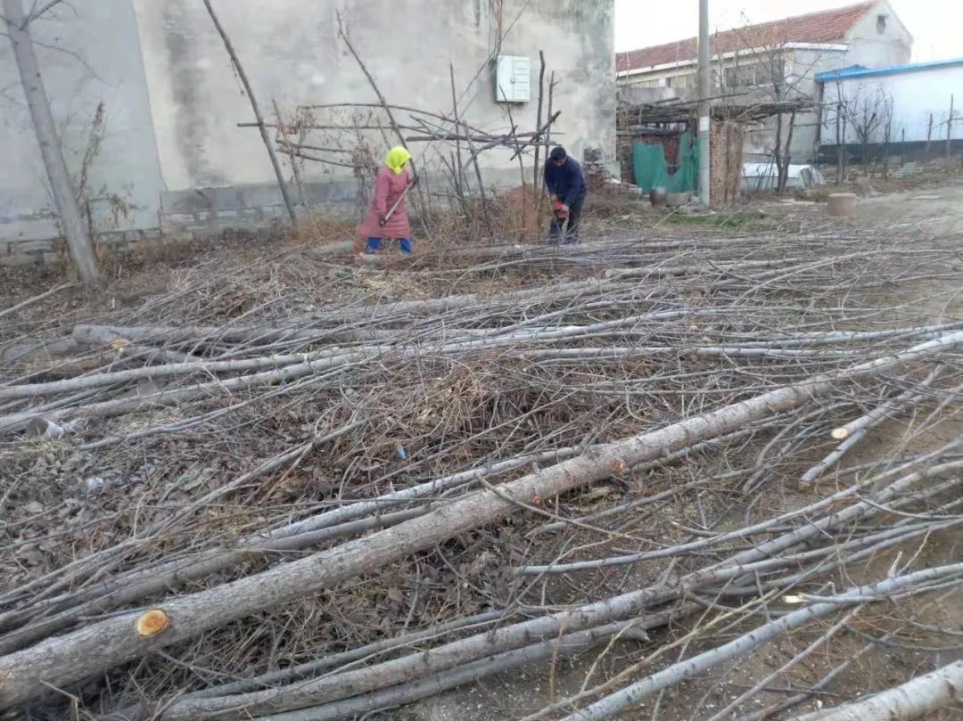 组织的嘱托、群众的期盼,都是我们努力的方向