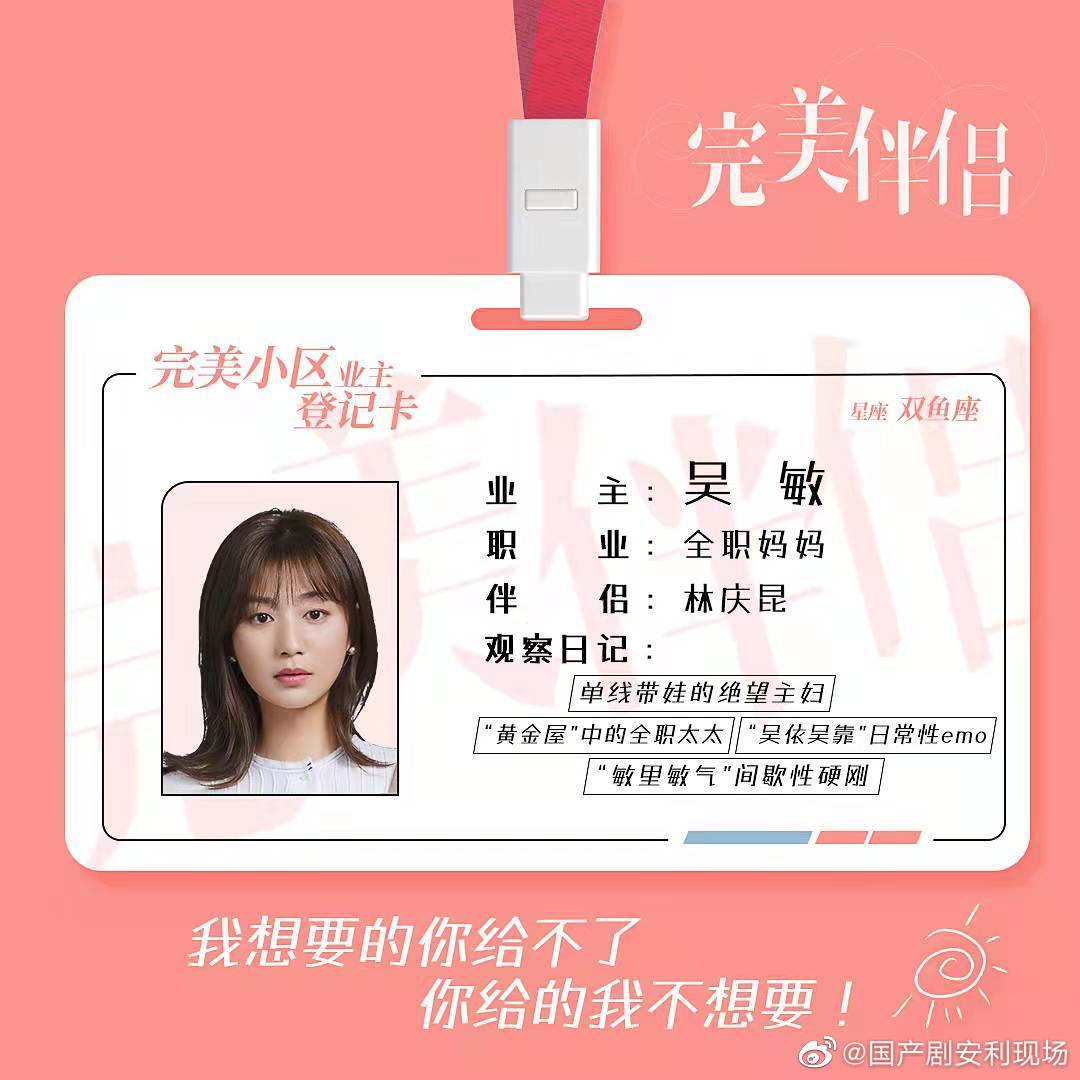 完美伴侣